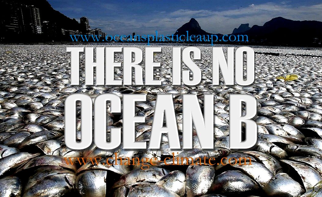 OCEAN B, THERE IS NO