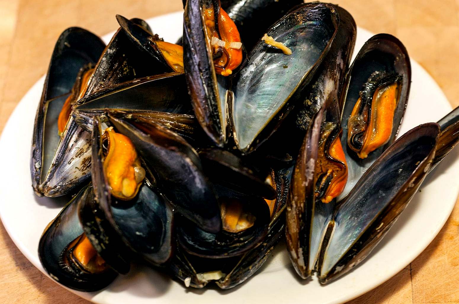 Shellfish, mussels laden with plastic microfibers
