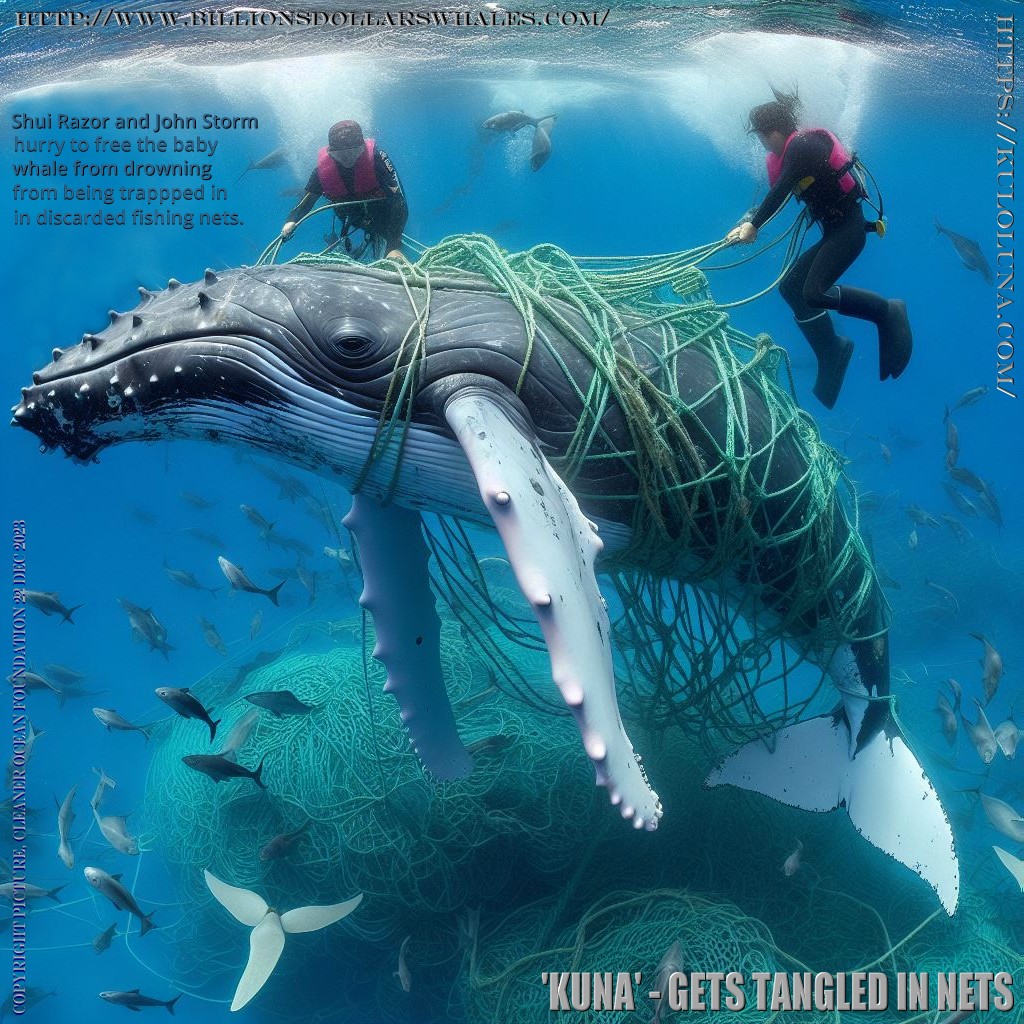 Innovative efforts tackle ghost fishing nets and bring value to