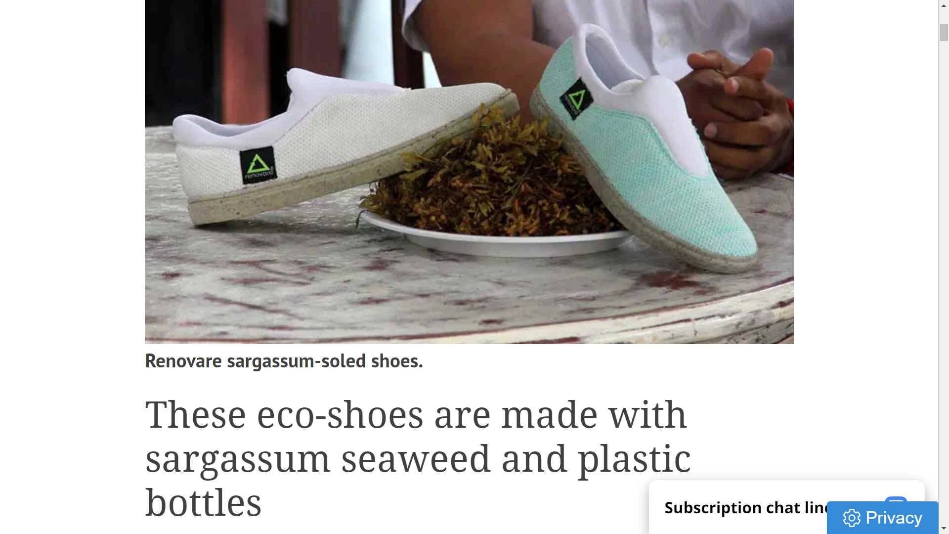 Eco shoes with sargassum soles and plastic uppers
