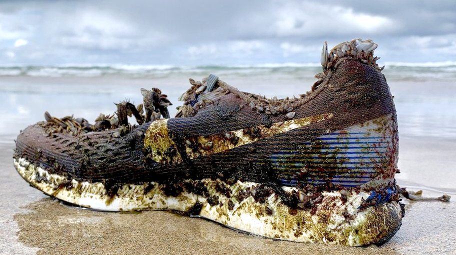 Sneakers made from on sale recycled ocean plastic