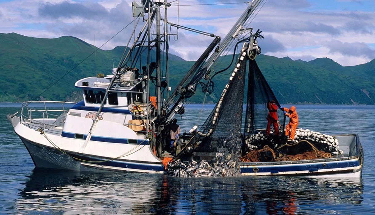 FISHING BOATS MULTIVAX ZERO CARBON FISHING SUSTAINABLE DEVELOPMENT GOALS  SDG14 NO GHOST NETS FREE