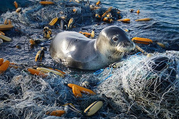 Ghost Nets” in the Ocean