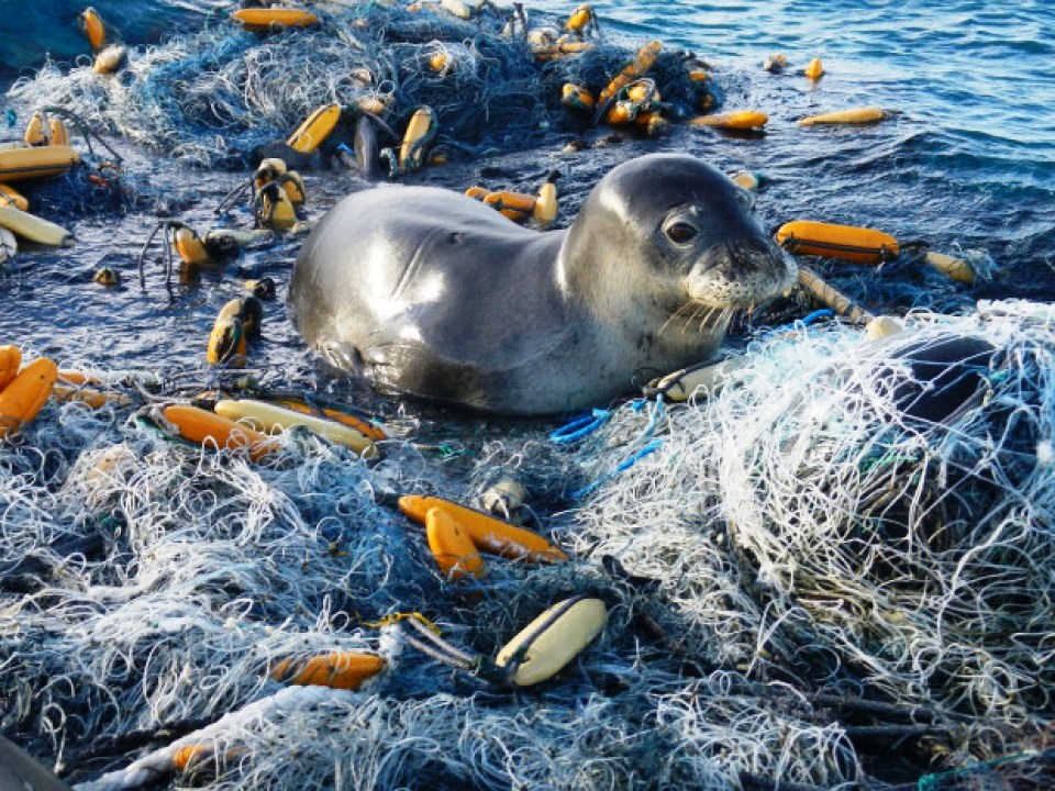 EU GHOST FISHING NETS GEAR LINES POTS ROPES MARINE PLASTICS EUROPEAN  COMMISSION POLICIES POLITICS 2018 DIRECTIVES